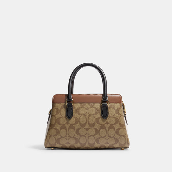 Mini Darcie Carryall In Colorblock Signature Canvas