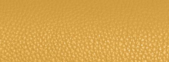 V5/ذهبي أصفر