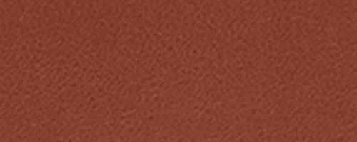 B4/Tan Caramel