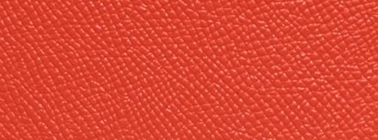 Sun Orange
