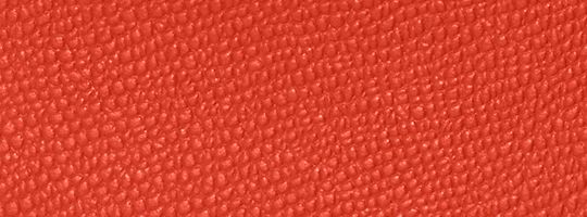 Sun Orange