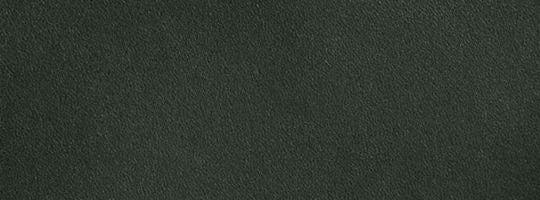 Amazon Green