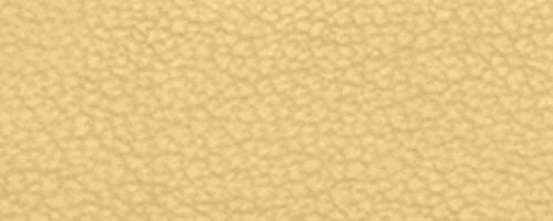 B4/Vanilla