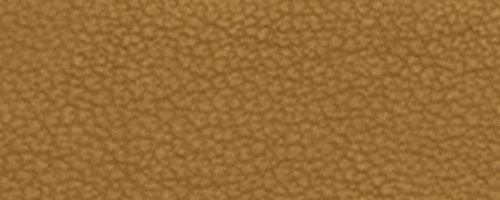B4/Muted Olive
