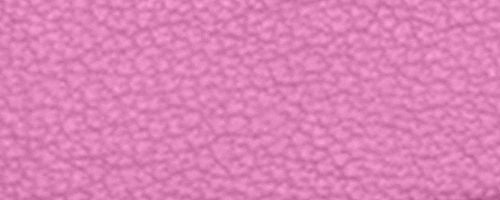 Lh/Fuchsia.