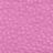 Lh/Fuchsia.