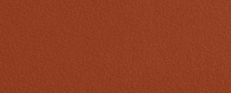 B4/Amber Brown