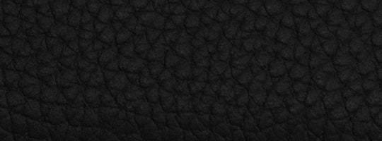 B4/Black