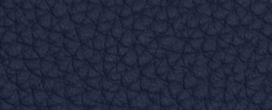 Lh/Deep Blue
