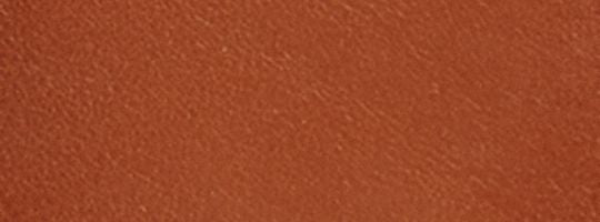 B4/Cocoa Burnished Amb