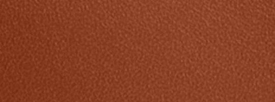 B4/Cocoa Burnished Amb