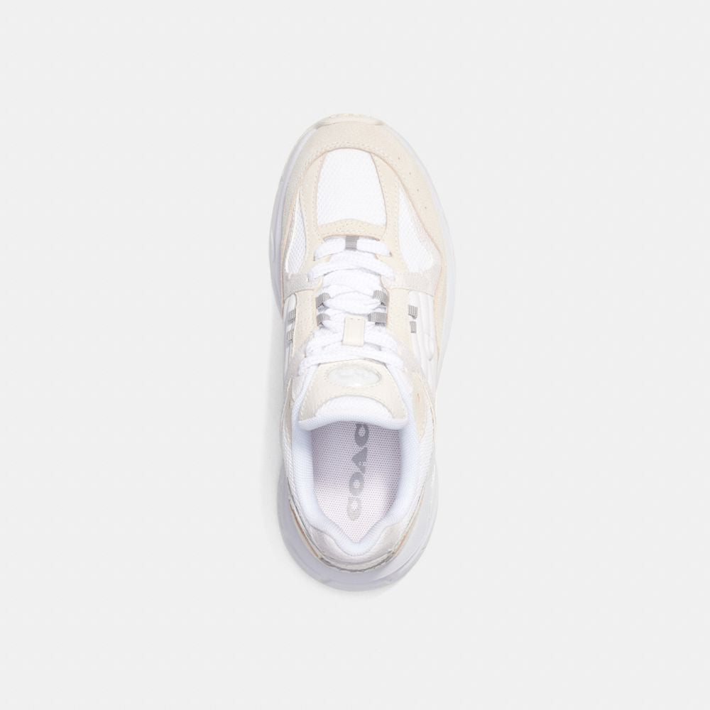 cn342-C301 Sneaker With Signature Canvas-Chalk/White
