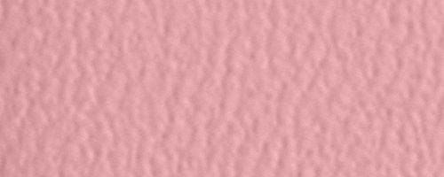 B4/Flower Pink