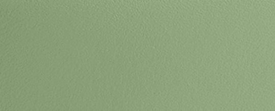 Lh/Pale Pistachio