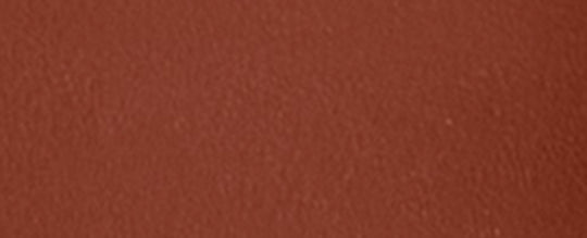 B4/Tan Caramel