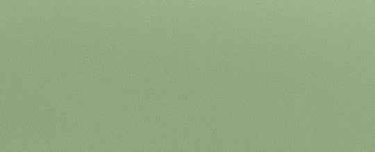 Lh/فستقي باهت