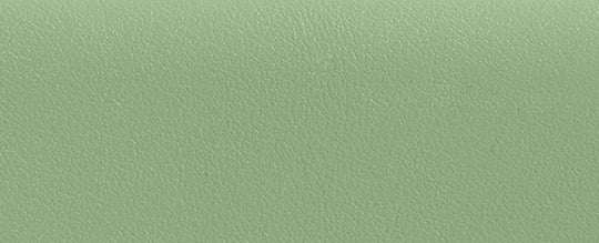 Lh/Pale Pistachio