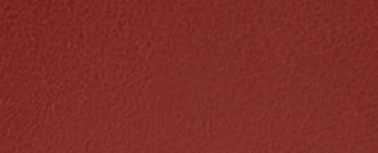 B4/Tan Rust