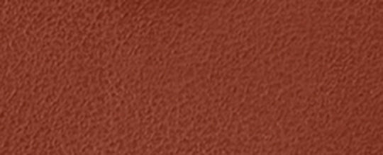 B4/Tan Caramel