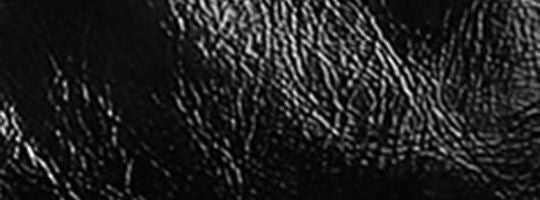 Lh/Black