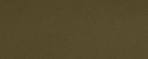 B4/Olive