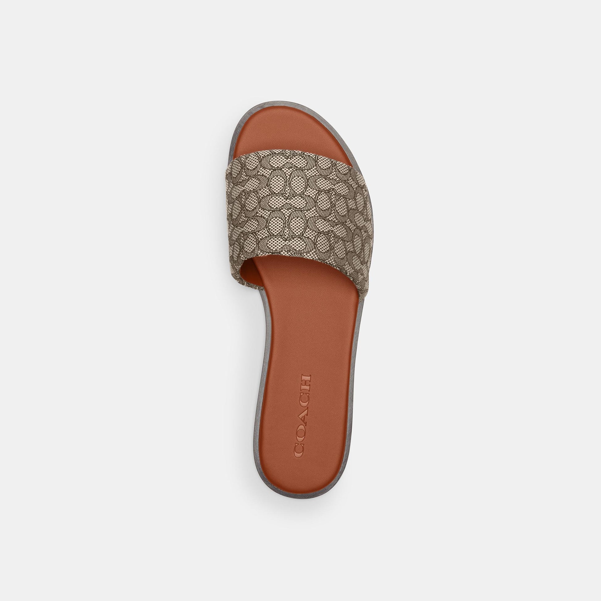 CT673-Holly Mini Sig-Cocoa/Burnished Amber