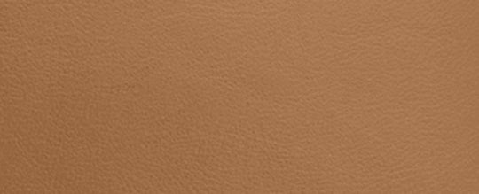 B4/Honey Brown
