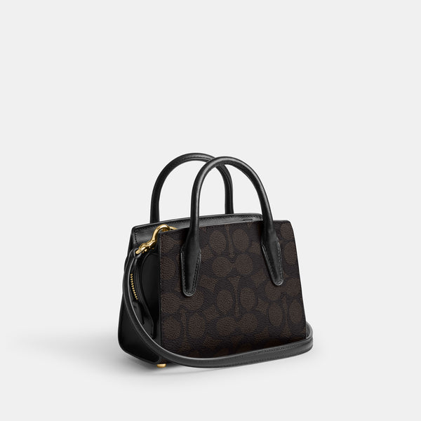 Andrea Mini Carryall Bag In Signature Canvas