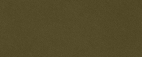 B4/Olive