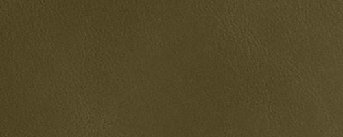 B4/Olive