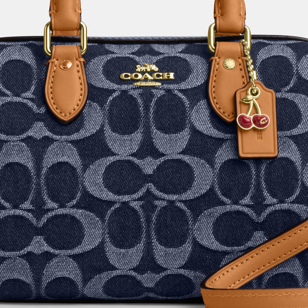 Mini Rowan Crossbody Bag In Signature Denim