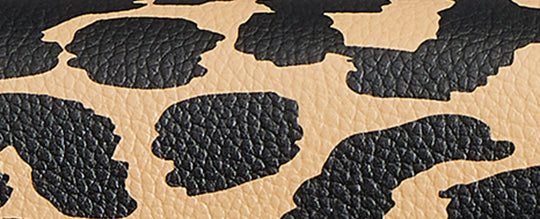 B4/Leopard