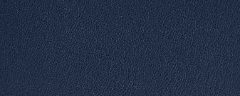 Navy.