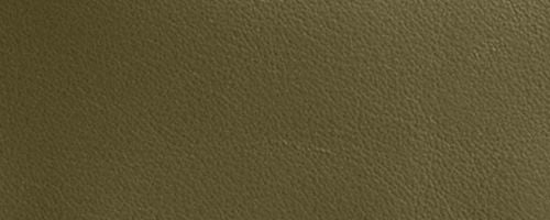 B4/Olive