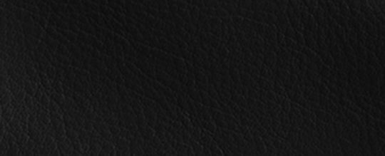 Lh/Black
