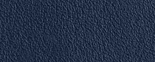 Navy.