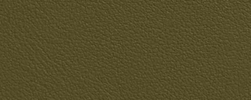 B4/Olive
