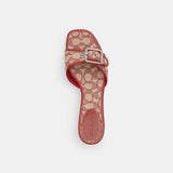 CZ373-Margot Sandal In Signature Textile Jacquard-Ruby.