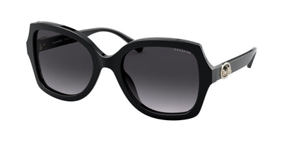 COACH-Women Sunwear-0HC8295-56144Q