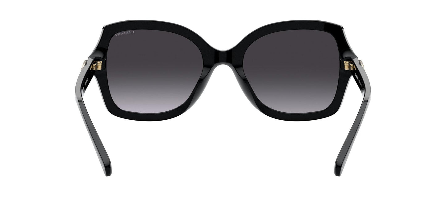 Women Sunwear - COACH Saudi Arabia Official Site