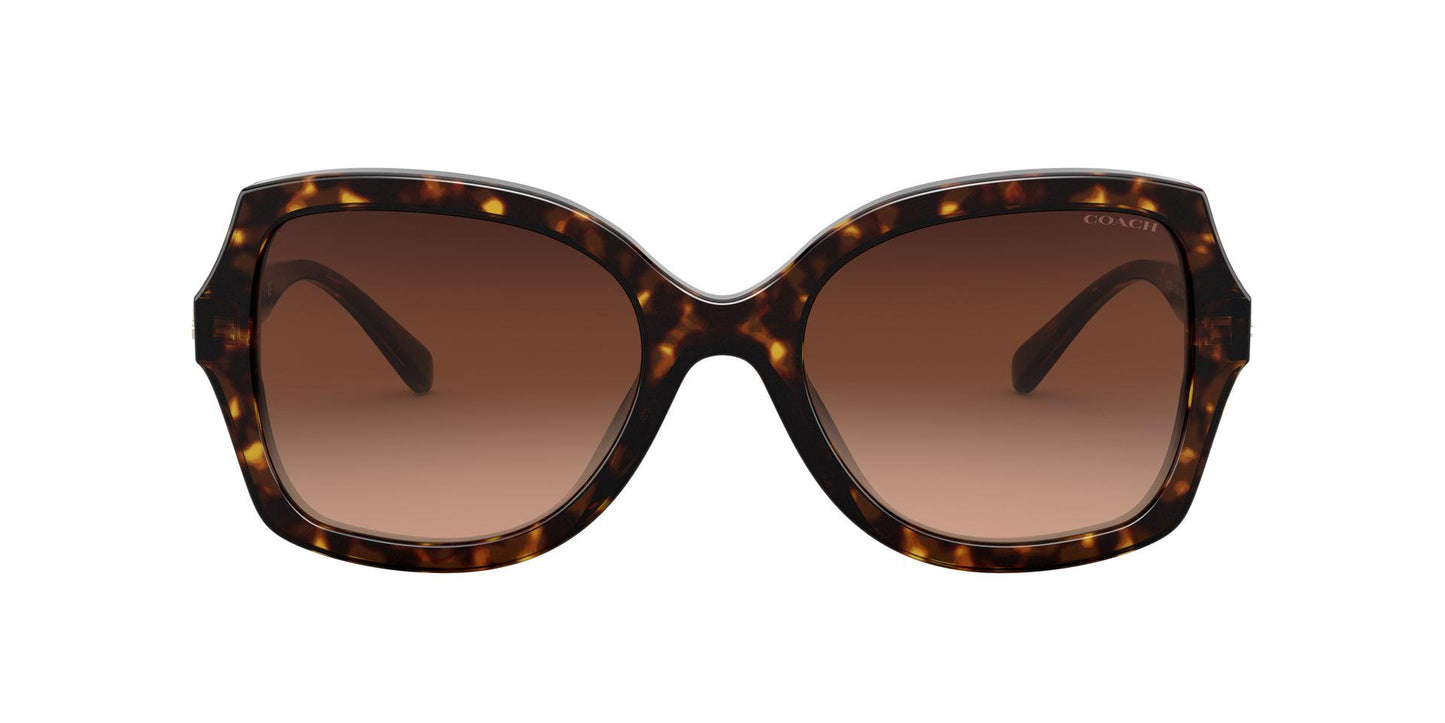 Women Sunwear - COACH Saudi Arabia Official Site