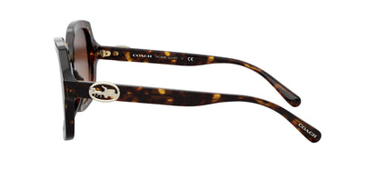 Women Sunwear - COACH Saudi Arabia Official Site