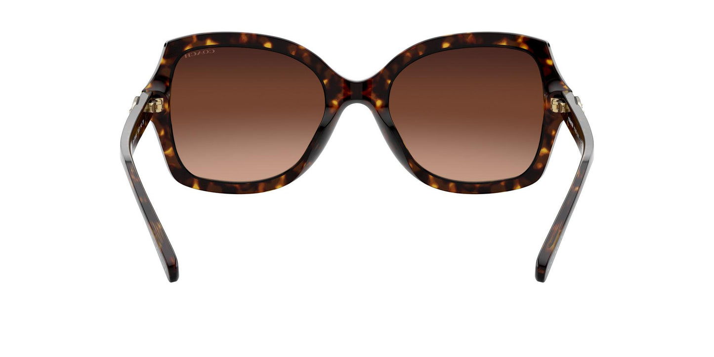 Women Sunwear - COACH Saudi Arabia Official Site