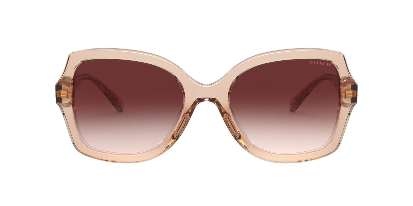 Women Sunwear - COACH Saudi Arabia Official Site