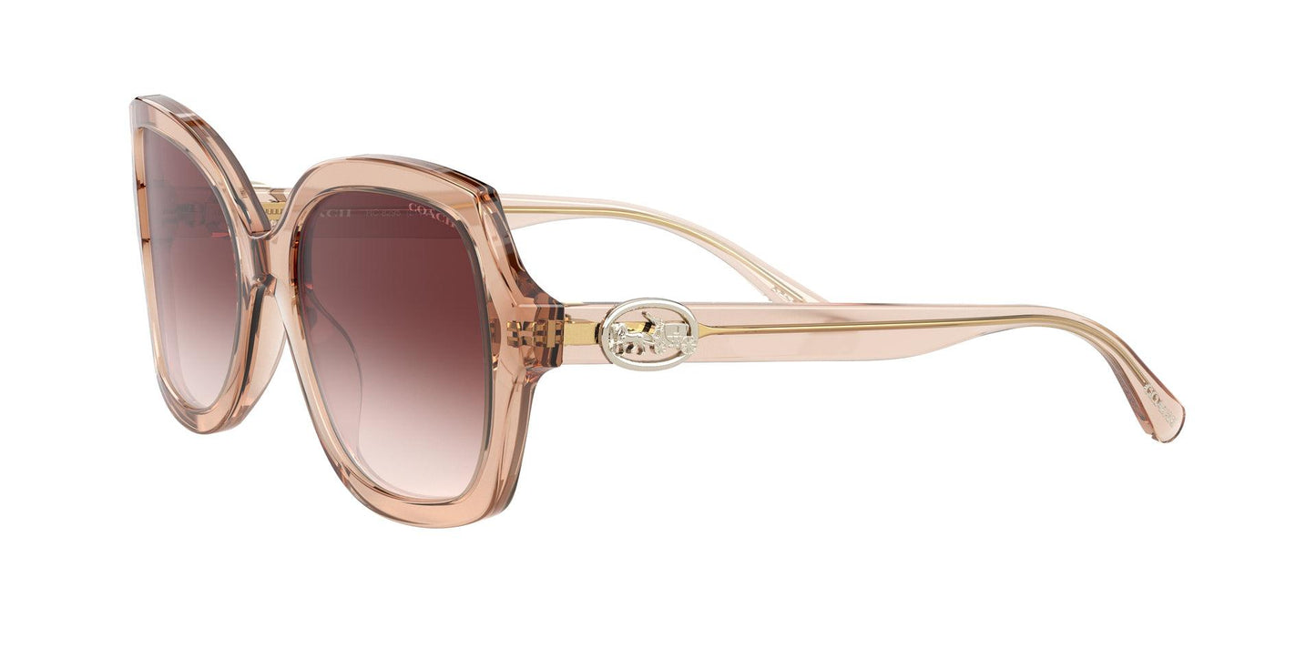 Women Sunwear - COACH Saudi Arabia Official Site