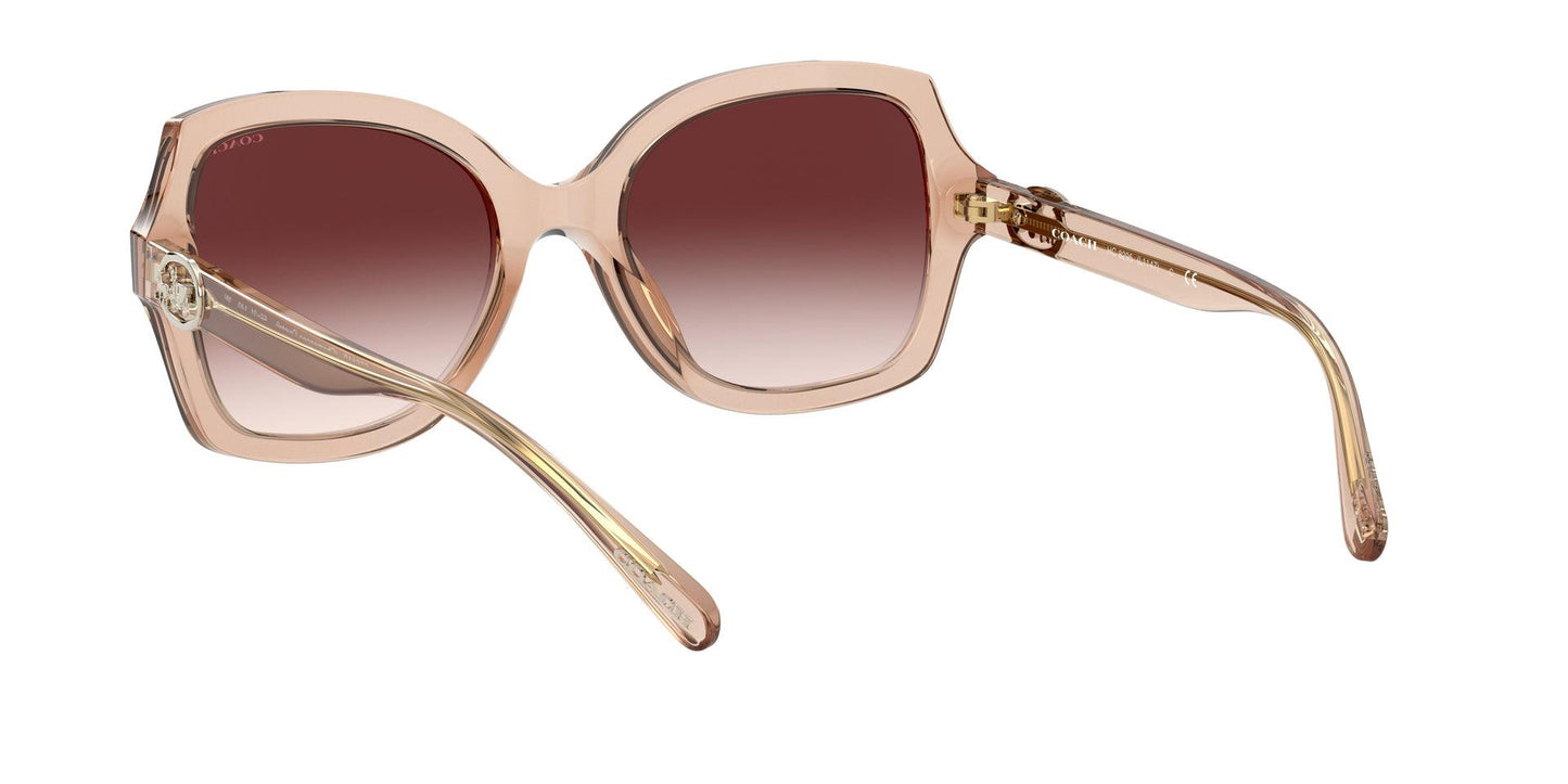 Women Sunwear - COACH Saudi Arabia Official Site
