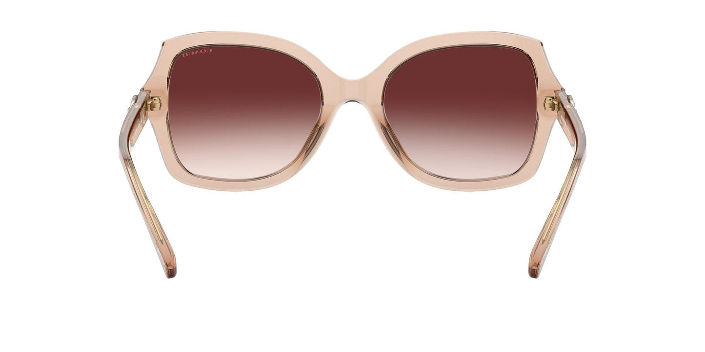Women Sunwear - COACH Saudi Arabia Official Site