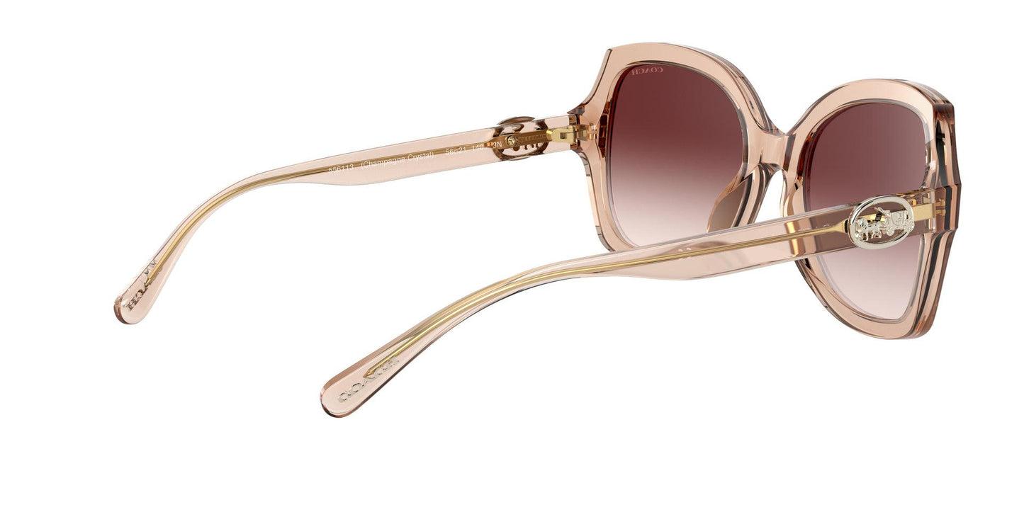 Women Sunwear - COACH Saudi Arabia Official Site