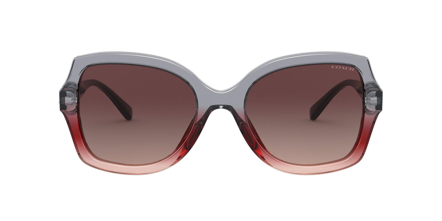 Women Sunwear - COACH Saudi Arabia Official Site