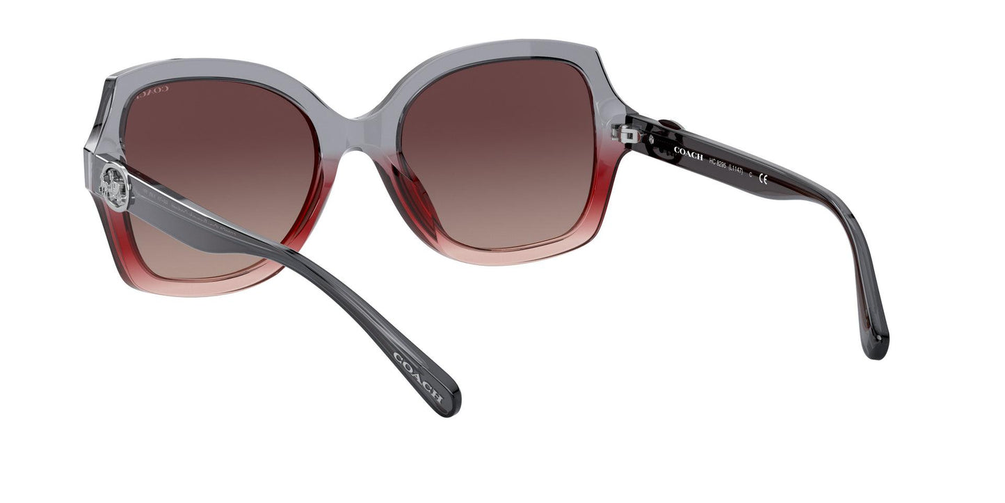 Women Sunwear - COACH Saudi Arabia Official Site